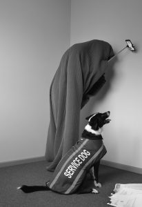 Black and white image of a dog wearing a service dog coat, blanket draped figure in the background