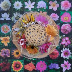 SHADE AND FLOWERS by Colleen Stevenson