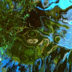 LINGER by Colleen Stevenson