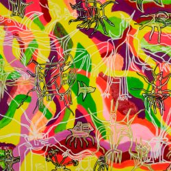 ANIMALS AND OBJECTS by Dion Halse