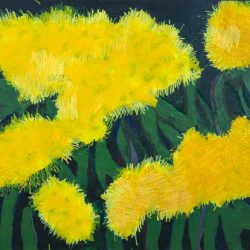 XANTHOSTEMON CHRISSY by Jennifer Lowrey