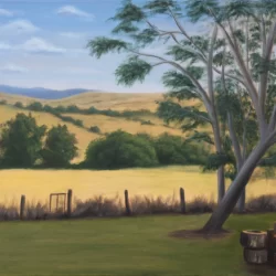 Kerry Beazleigh_ AUSTRALIAN RURAL BACKYARD copy