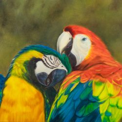 LOVE BIRDS by Kerry Beazleigh
