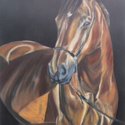 TANDARA by Kerry Beazleigh