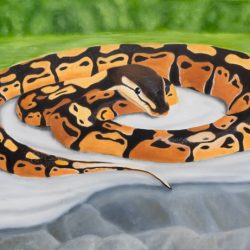 SERENE SERPENT by Kris Stokman