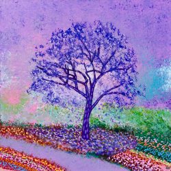 Levi Diball_ JACARANDA RISING