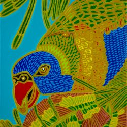 NICE LORIKEET WITH A NICE SCARLET AUSTRALIAN NATIVE FLOWERS by Peter Hughes